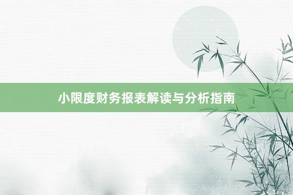 小限度财务报表解读与分析指南