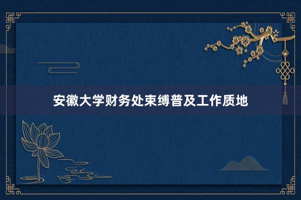 安徽大学财务处束缚普及工作质地