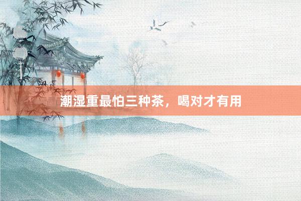 潮湿重最怕三种茶，喝对才有用