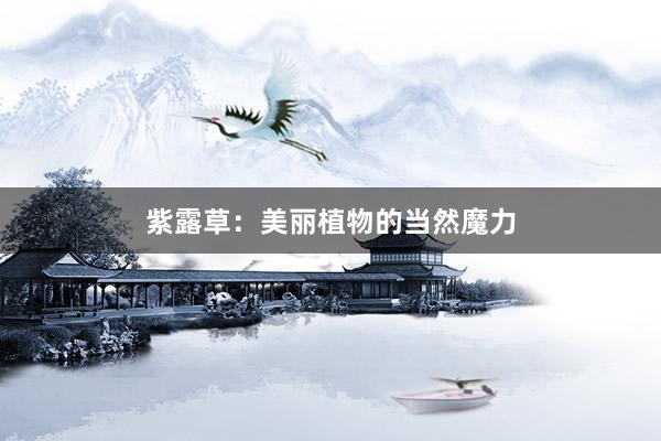 紫露草：美丽植物的当然魔力