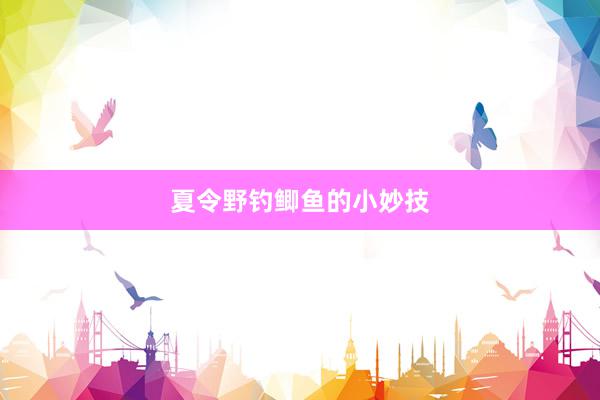 夏令野钓鲫鱼的小妙技